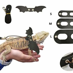 Bearded Dragon Lizard Harness with Cool Wings and Adjustable Leash-3 Size Pack, Suitable for Squirrel Iguana Dutch Pig Reptiles on Chest
